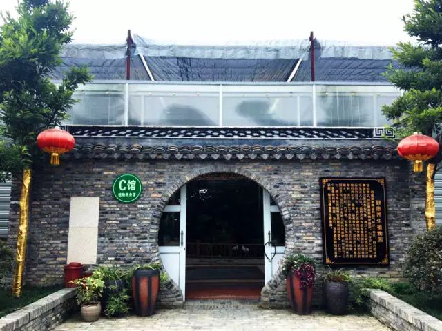 嬉樂灣景點篇——天然“氧吧”，健康養(yǎng)生植物園。