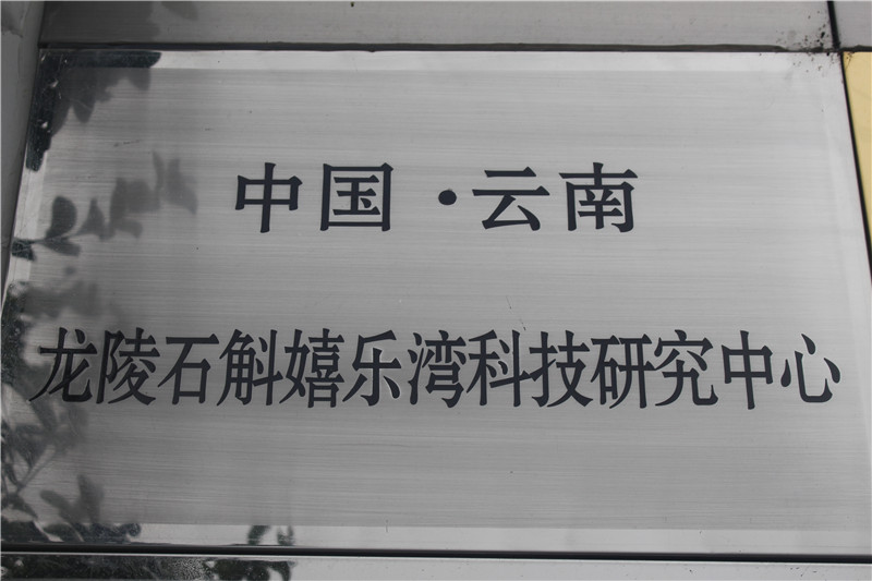 資質榮譽