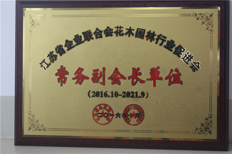 資質(zhì)榮譽(yù)