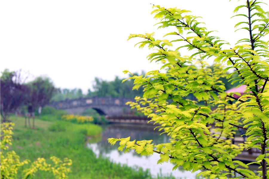 瓜果飄香，花香滿園—嬉樂灣生態(tài)農(nóng)業(yè)示范園