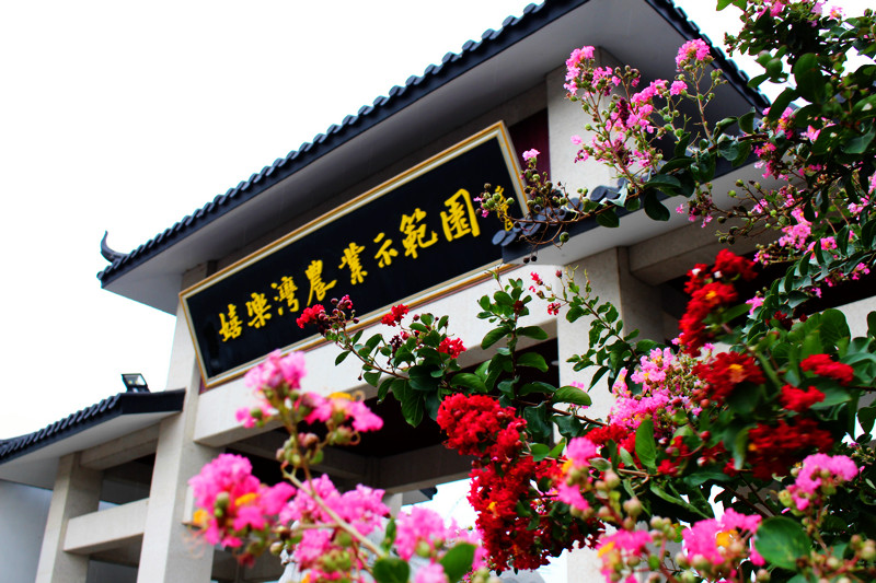致敬最美逆行者，江蘇嬉樂(lè)灣景區(qū)對(duì)全國(guó)醫(yī)護(hù)工作者免票