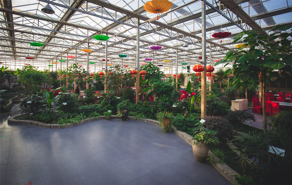 Ecologic Restaurant