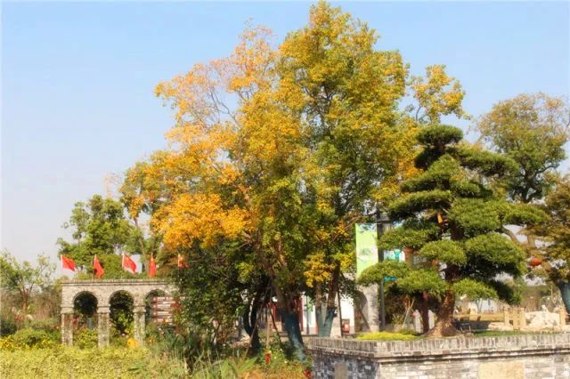 冬游嬉樂(lè)灣，此情可待成回憶——嬉樂(lè)灣生態(tài)農(nóng)業(yè)示范園