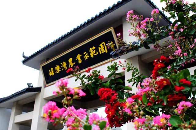 花香飄園林，醉心嬉樂灣