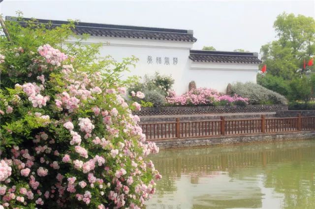 今天，我兩歲了—嬉樂灣生態(tài)農(nóng)業(yè)示范園